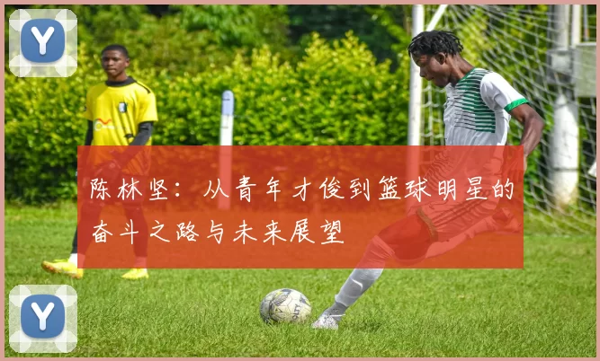 陈林坚：从青年才俊到篮球明星的奋斗之路与未来展望